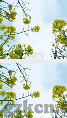 91麻豆传媒网址-揭示真相与规范，关于91麻豆传媒的理性对话