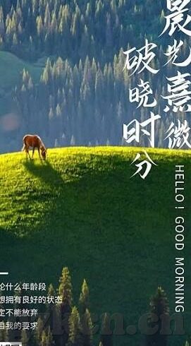 91人妻porn-91人妻porn的误解与现实