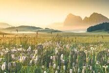 大象传媒芭乐视频-探索大象传媒与芭乐视频的融合创新之路