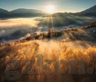含羞草视频网站麻豆-从虚幻到现实的含羞草之旅，探索麻豆在数字世界的另类文化
