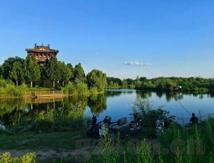 麻豆传媒是啥意思-探索大众文化中的麻豆传媒，一种网络现象的多元解读