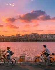 mdapptv麻豆短视频-探索MDAPPTV，麻豆短视频——当代数字娱乐与社交的新窗口