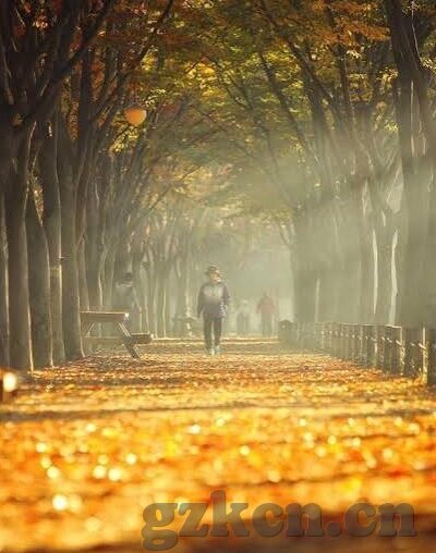 糖心app苹果测试版-科技探索，糖心App苹果测试版揭秘
